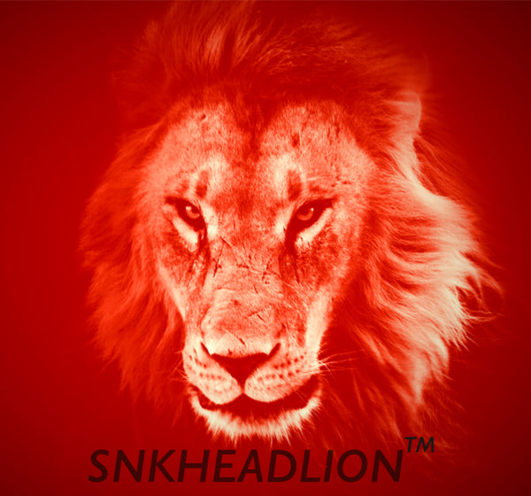 SNKHEADLION